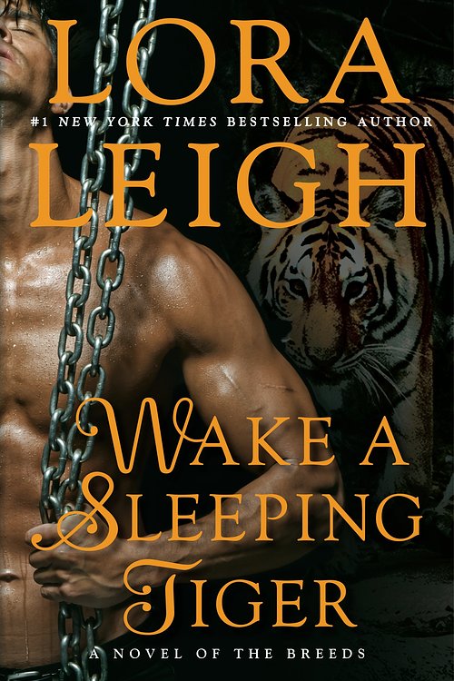 Cover Art for 9781101612514, Wake a Sleeping Tiger by Lora Leigh