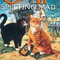 Cover Art for 9780061050985, Cat Spitting Mad: A Joe Grey Mystery (Joe Grey Mysteries) by Shirley Rousseau Murphy