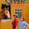 Cover Art for 9780340569948, Fun for the Secret Seven by Enid Blyton