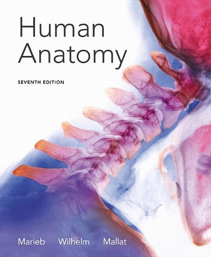 Cover Art for 9780321822413, Human Anatomy by Elaine N. Marieb, Patricia Brady Wilhelm, Jon B. Mallatt