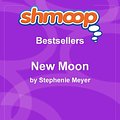 Cover Art for 9781610620017, New Moon by Shmoop