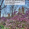 Cover Art for B01MRVFGX4, Deep Learning (Adaptive Computation and Machine Learning series) by Ian Goodfellow, Yoshua Bengio, Aaron Courville