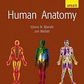 Cover Art for 9780321126511, Human Anatomy and Physiology by Elaine N. Marieb, Jon B. Mallatt