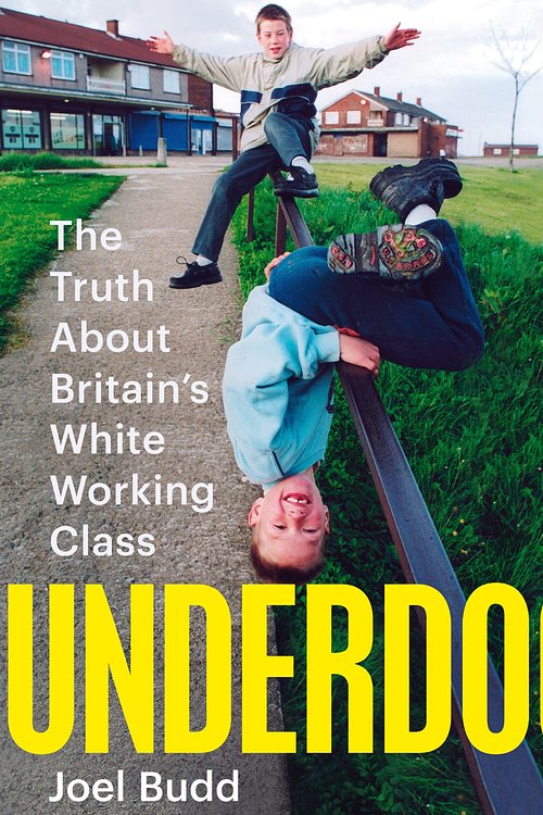 Cover Art for 9781761772634, Underdogs by Joel Budd