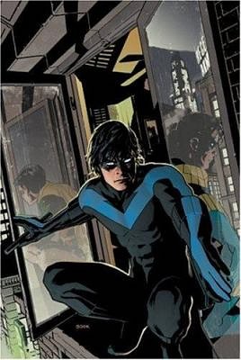 Nightwing: The Lost Year