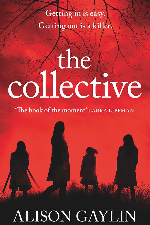 Cover Art for 9781409179085, The Collective by Alison Gaylin