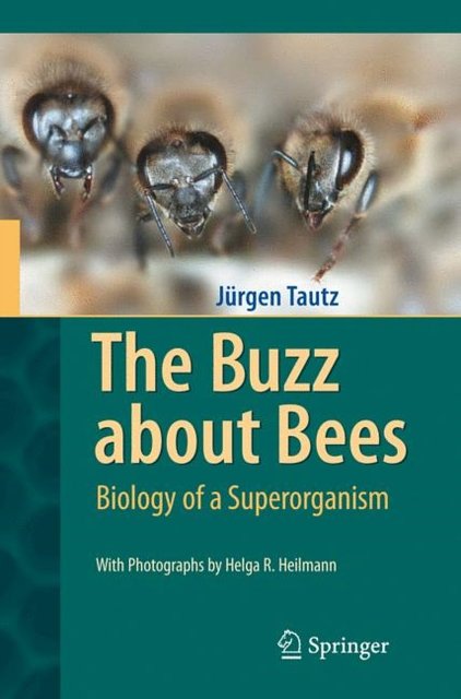 Cover Art for 9783540787273, The Buzz About Bees by Jürgen Tautz