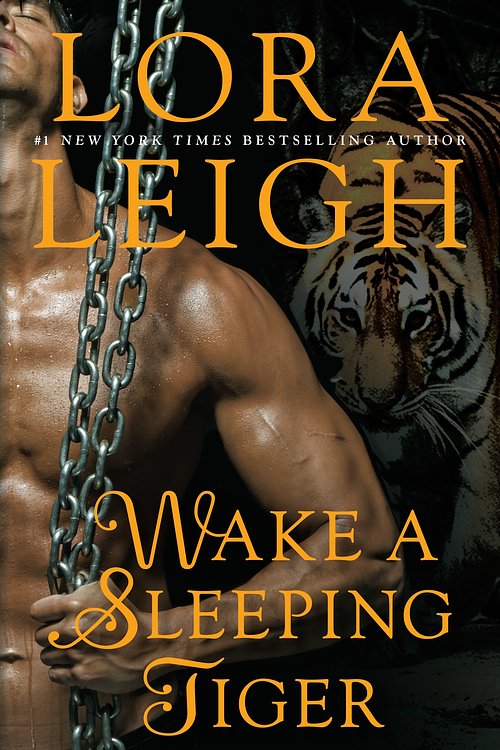 Cover Art for 9780515154009, Wake a Sleeping Tiger by Lora Leigh