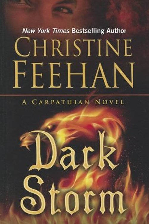 Cover Art for 9781410452184, Dark Storm by Christine Feehan