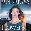 Cover Art for 9780007873746, Flowers in the Attic by Virginia Andrews