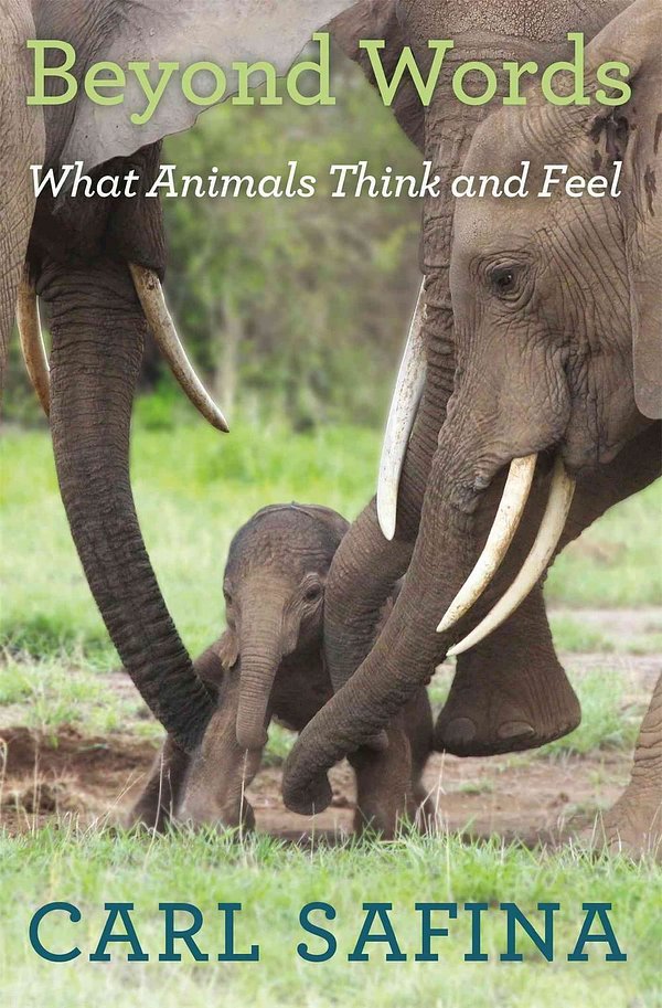 Cover Art for 9780805098884, Beyond Words: How Animals Think and Feel by Carl Safina