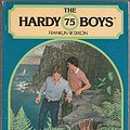 Cover Art for 9780671423636, Trapped at Sea (The Hardy Boys, Book 75) by Franklin W. Dixon, Meg F. Schneider