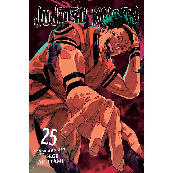 Jujutsu Kaisen, Vol. 25 (Volume 25)