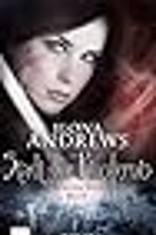 Cover Art for 9783802583421, Stadt der Finsternis 04 by Ilona Andrews