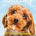 Cover Art for 9781447218906, A Dog's Journey by W. Bruce Cameron