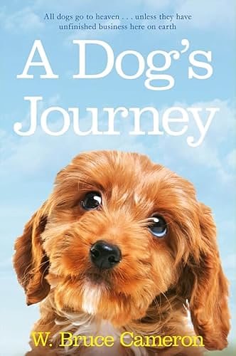 Cover Art for 9781447218906, A Dog's Journey by W. Bruce Cameron