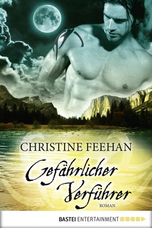 Cover Art for 9783838773254, Gefährlicher Verführer by Christine Feehan