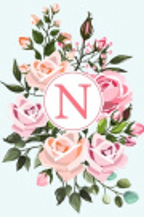 Cover Art for 9781688021563, N: 110 Sketchbook Pages - Monogram Sketch Notebook with a Pink Watercolor Design - Personalized Initial Letter Journal - Monogramed Sketchbook by Monogram Sketchbook Hinterland