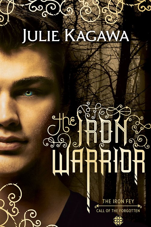 Cover Art for 9781474033404, The Iron Warrior (The Iron Fey, Book 7) - Paperback by Unknown