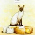 Cover Art for 9781863406994, The Cat Who Said Cheese by Lilian Jackson Braun