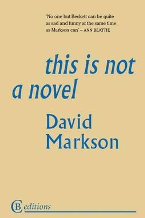 Cover Art for 9780956107336, This is Not a Novel by David Markson
