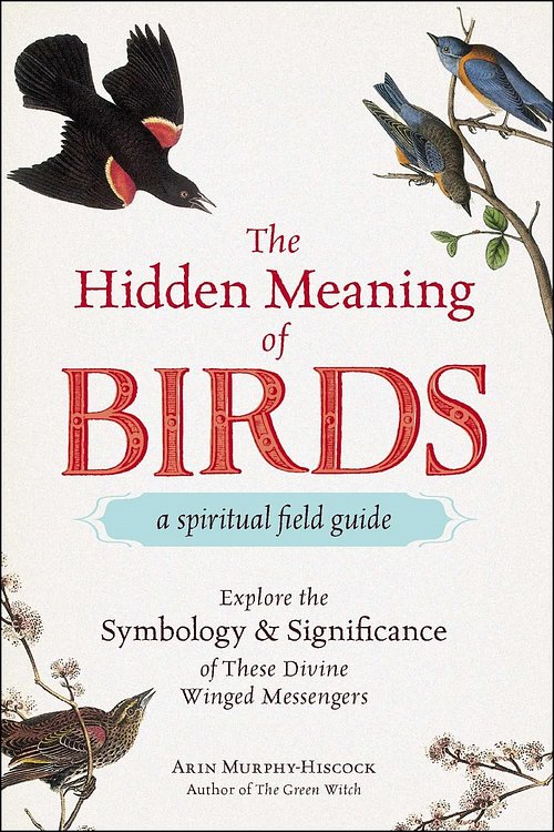 Cover Art for 9781507210260, The Hidden Meaning of Birds--A Spiritual Field Guide: Explore the Symbology and Significance of These Divine Winged Messengers by Arin Murphy-Hiscock