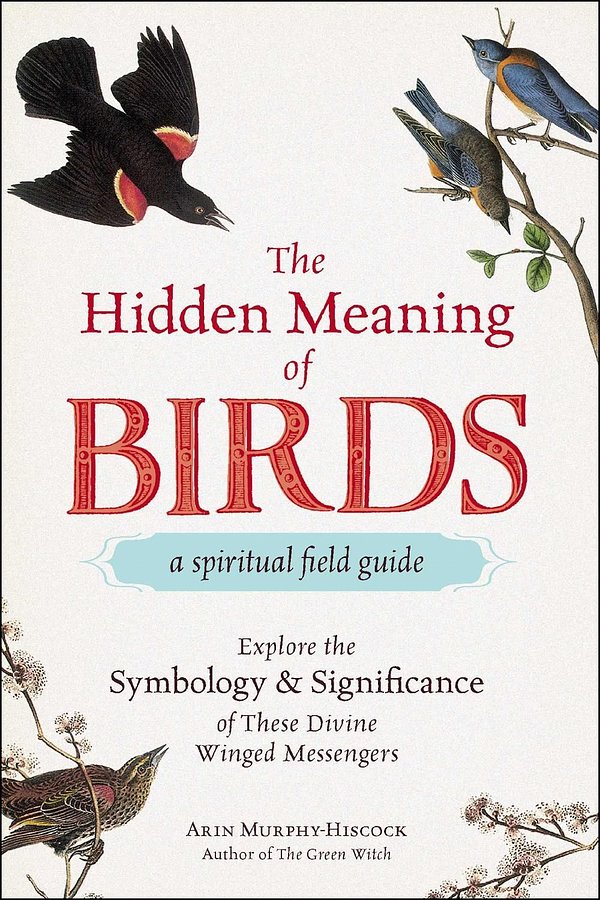 Cover Art for 9781507210260, The Hidden Meaning of Birds--A Spiritual Field Guide: Explore the Symbology and Significance of These Divine Winged Messengers by Arin Murphy-Hiscock