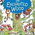 Cover Art for 9781405272193, The Enchanted Wood by Enid Blyton