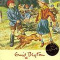 Cover Art for 9780340681015, Secret Seven Fireworks by Enid Blyton