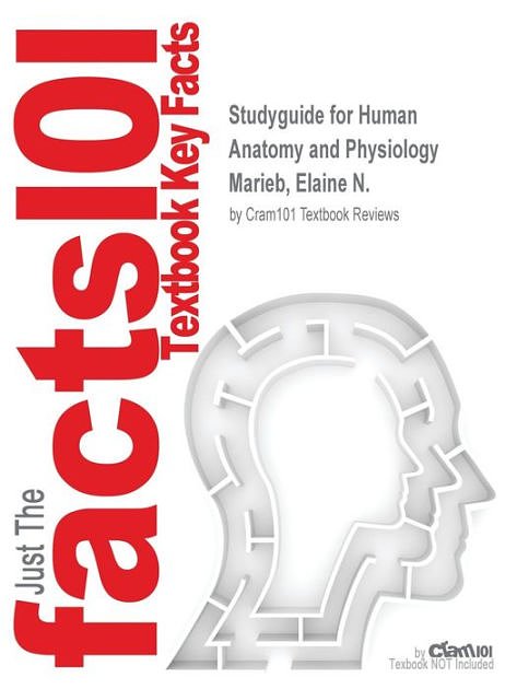 Cover Art for 9780133994933, Human Anatomy & Physiology by Elaine N. Marieb, Katja N. Hoehn