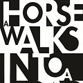 Cover Art for 9781910702932, A Horse Walks Into a Bar by David Grossman