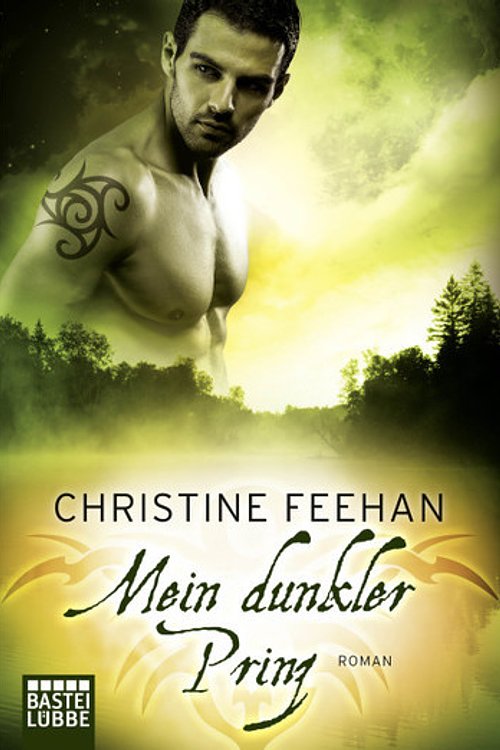 Cover Art for 9783404773107, Mein dunkler Prinz: Vampir-Liebesroman by Christine Feehan, Katja Thomsen