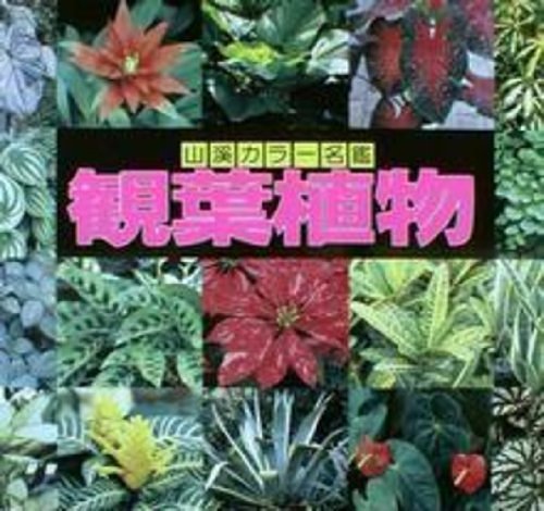 Cover Art for 9784635090230, 観葉植物 (山渓カラー名鑑) by 高林成年