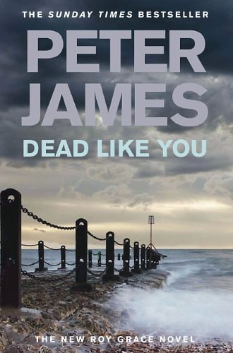 Cover Art for 9780230711242, Dead Like You by Peter James