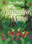 Cover Art for 9780099388401, Enchanted Wood by Enid Blyton