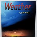 Cover Art for 9780439351478, Weather by Julian Fleisher