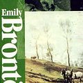 Cover Art for 9781582791951, Wuthering Heights by Emily Brontë