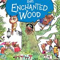 Cover Art for 9781444959451, Magic Faraway Tree 01: The Enchanted Wood: Book 1 by Enid Blyton