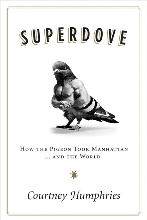 Cover Art for 9780061259166, Superdove by Courtney Humphries