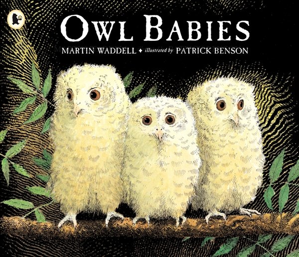 Cover Art for 9780744531671, Owl Babies by Martin Waddell