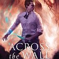 Cover Art for 9781760290603, Across the Wall by Garth Nix