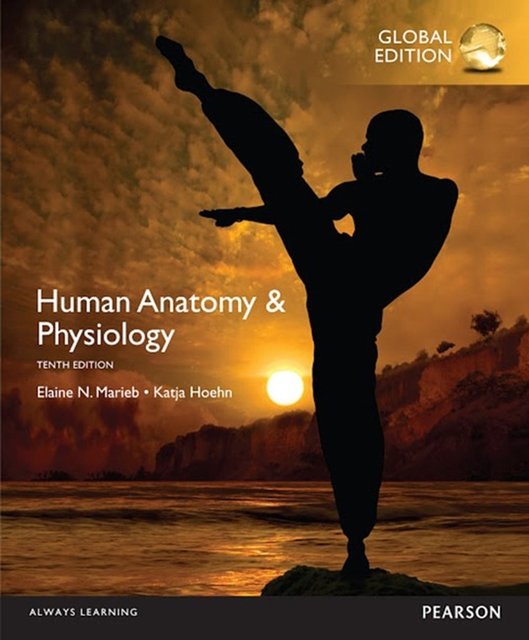 Cover Art for 9781292096971, Human Anatomy & Physiology by Elaine N. Marieb