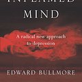 Cover Art for 9781925791051, The Inflamed Mind by Edward Bullmore