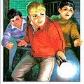 Cover Art for 9780861635702, Go Ahead, Secret Seven by Enid Blyton