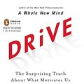 Cover Art for 9780143145080, Drive by Daniel H. Pink