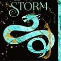 Cover Art for 9781250044433, Siege and Storm by Leigh Bardugo