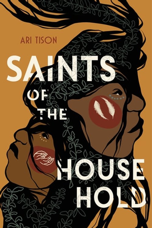Cover Art for 9780374389482, Saints of the Household by Unknown