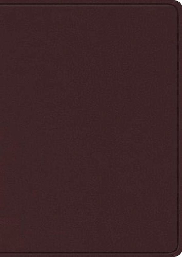 Cover Art for 9781433575938, ESV Study Bible, Large Print (Burgundy) by Crossway Books