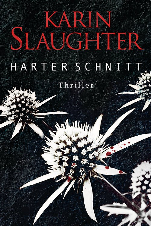 Cover Art for 9783641108564, Harter Schnitt by Karin Slaughter