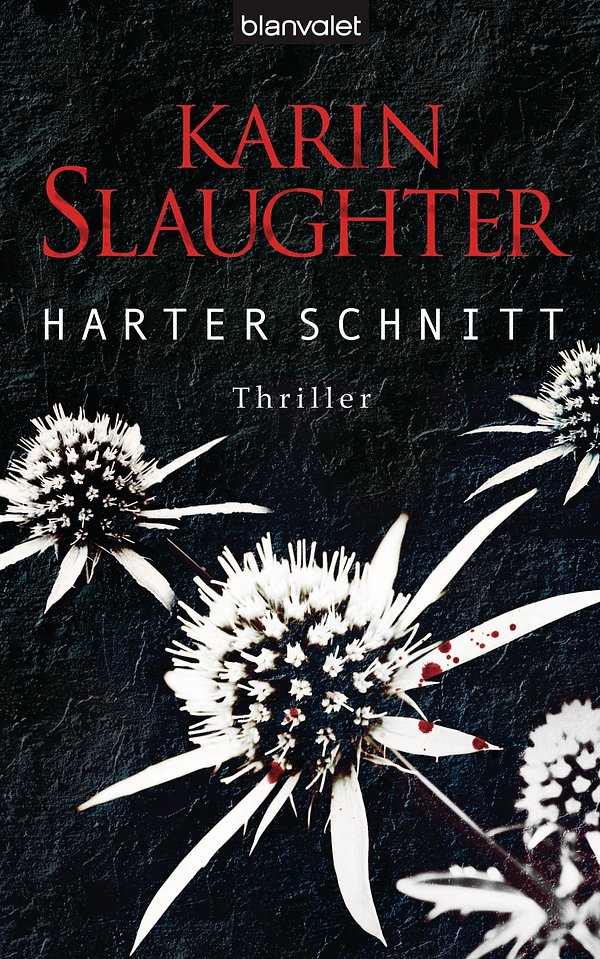 Cover Art for 9783641108564, Harter Schnitt by Karin Slaughter